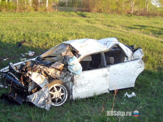 ДТП в Новосибирской обл. : Toyota Chaser кувыркалась в кювете - водитель погиб (ФОТО) 