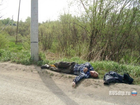 ДТП под Новосибирском : мопед Honda Dio влетел в столб - пожилой мужчина скончался (ФОТО)
