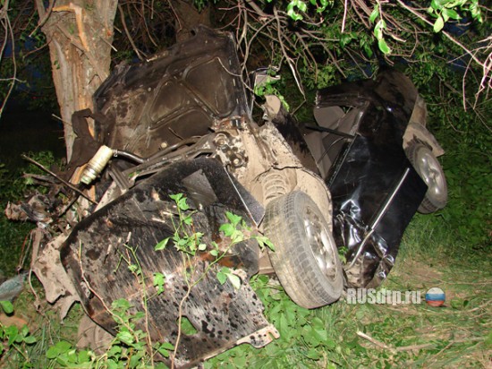Страшная авария в Сумской обл. : Chery Amulet съехал в кювет и врезался в дерево (ФОТО)