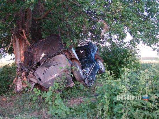Страшная авария в Сумской обл. : Chery Amulet съехал в кювет и врезался в дерево (ФОТО)