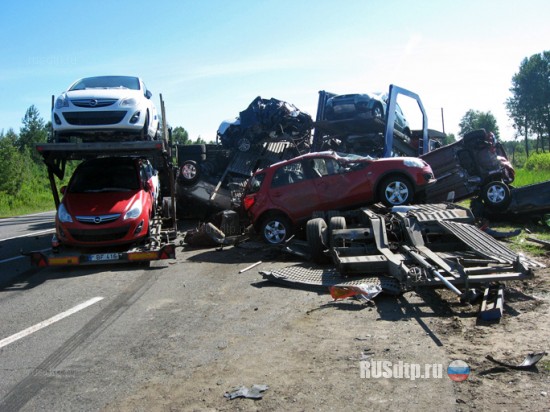 ДТП на трассе М1 Брест-Москва : тягач SCANIA влетел в грузовик SCANIA, оба автомобиля были груженные легковушками - дорога была блокирована разбитыми авто (ФОТО)