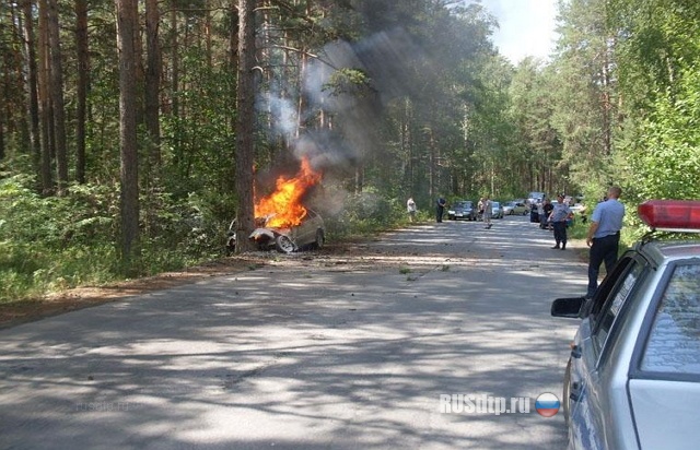 Врезался в дерево Врезался в дерево