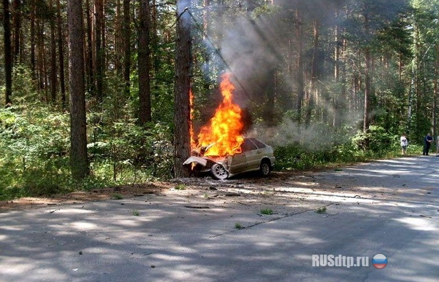 Врезался в дерево Врезался в дерево