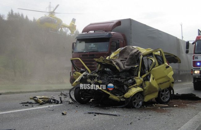 Водитель и его собаки погибли в результате ДТП в Чехии