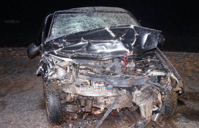 В Удмуртии водитель устроил ДТП и погиб в нём