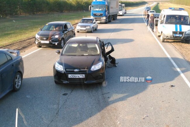 Пять человек погибли в ДТП на трассе «Казань-Ульяновск». Фото