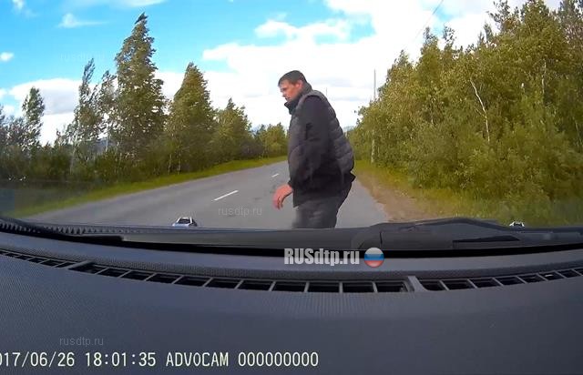 В Златоусте водитель сбил пешехода, вышедшего из кустов на дорогу В Златоусте водитель сбил пешехода, вышедшего из кустов на дорогу