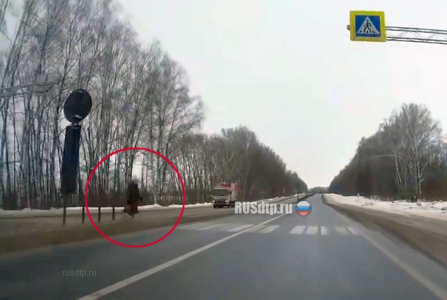 Нарушил ли водитель автомобиля Hyundai ПДД? Нарушил ли водитель автомобиля Hyundai ПДД?