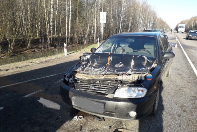 9 человек пострадали в ДТП с участием маршрутки на трассе «Брянск - Новозыбков»