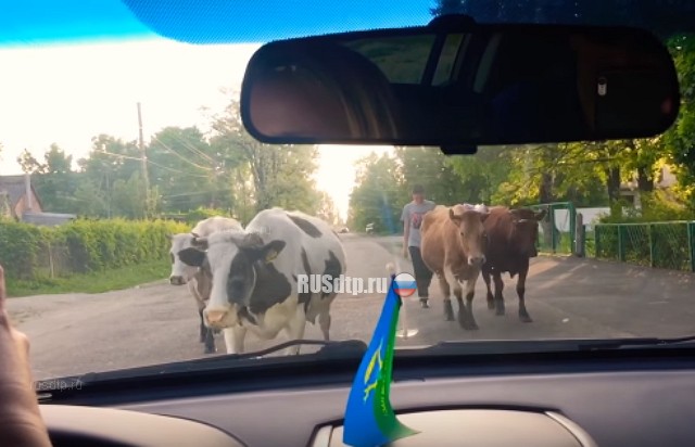 Лобовое(с) Лобовое(с)