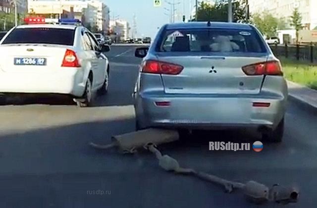 Погоня за пьяным водителем Погоня за пьяным водителем