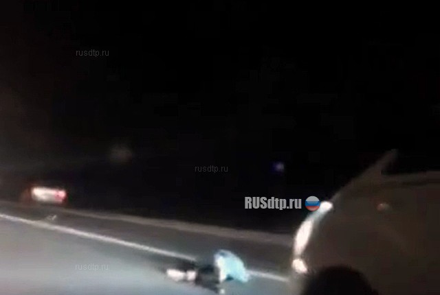 Под Анапой две девушки погибли, спасая сбитую собаку Под Анапой две девушки погибли, спасая сбитую собаку