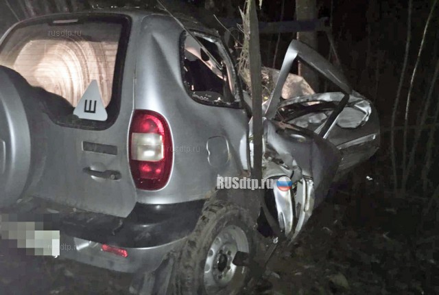 В Тверской области по вине пьяного водителя в ДТП погибли два пассажира