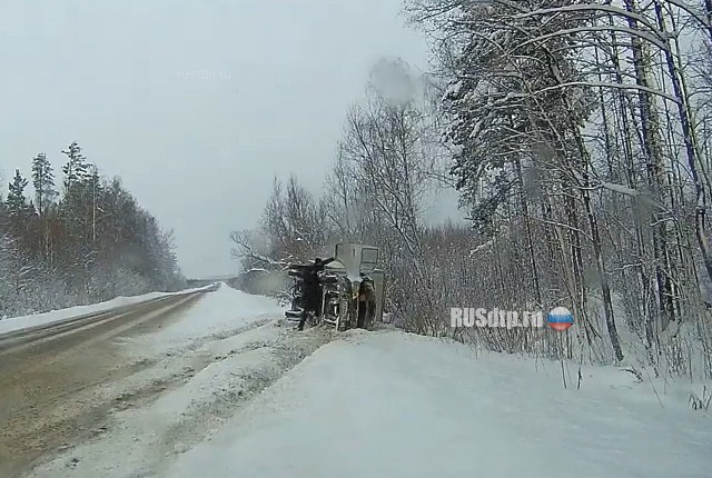 Газелька упала (с) Газелька упала (с)