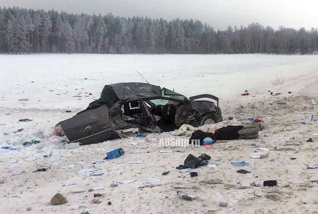Двое жителей Омска погибли под встречным КАМАЗом в Татарстане