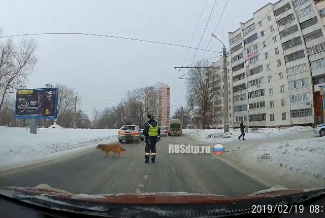 В Че самые добрые гаишники )) В Че самые добрые гаишники ))