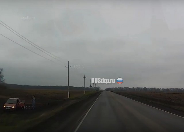 Девушка не справилась с управлением Девушка не справилась с управлением