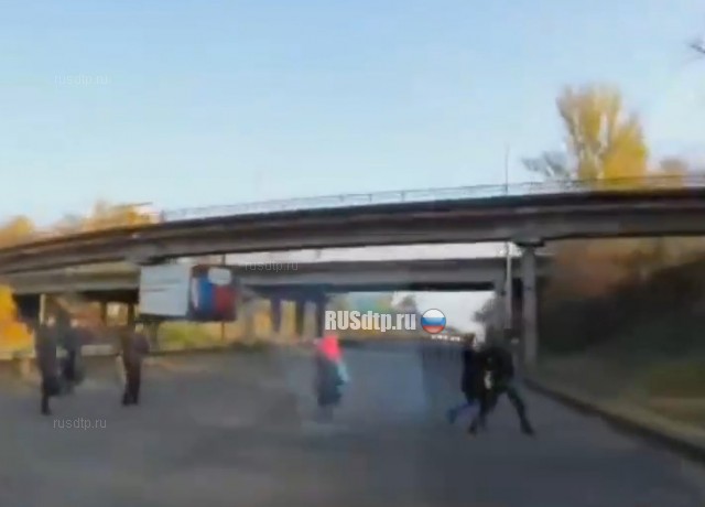 Перебегала дорогу в неположенном месте Перебегала дорогу в неположенном месте