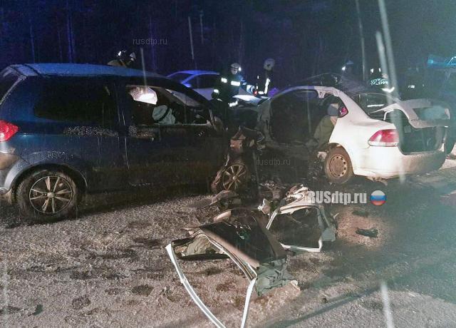 Водитель «Фольксвагена» погиб в ДТП под Северодвинском. ВИДЕО