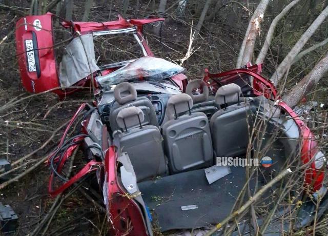 В Тульской области по вине пьяного водителя погибли два человека