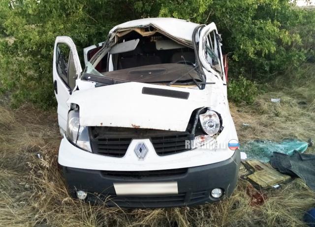 В Воронежской области в ДТП с микроавтобусом погибли два человека