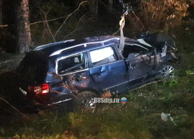 Водитель и пассажир «Пассата» погибли в ДТП в Брянской области