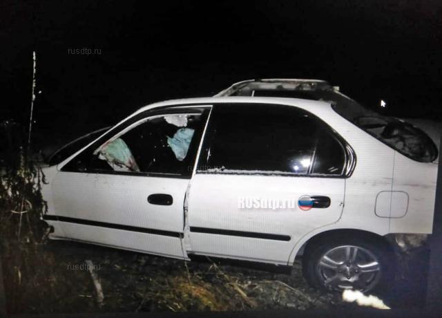Honda Civic сбил лося под Ачинском. Двое погибли