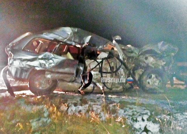 Мужчина и женщина погибли в массовом ДТП на трассе «Сибирь»