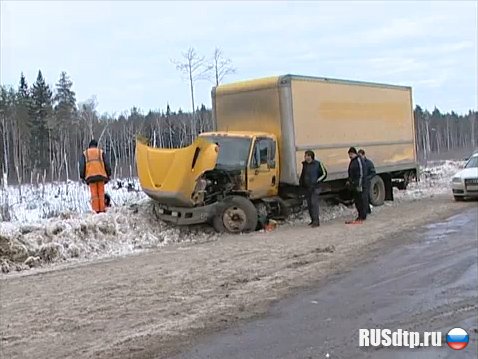 В Нижегородской области маршрутка столкнулась с грузовиком