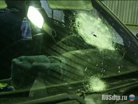 Водитель выстрелил в сотрудников ДПС (видео)