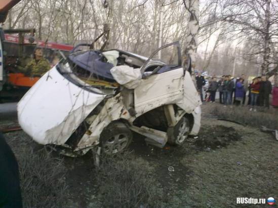 В Барнауле водитель врезался в дерево