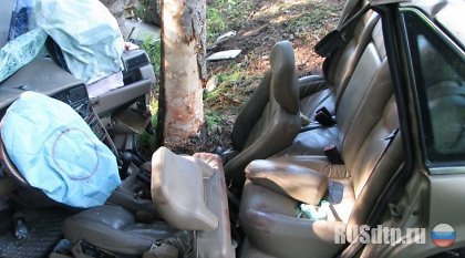 В Эстонии в результете наездаа на дерево погиб водитель