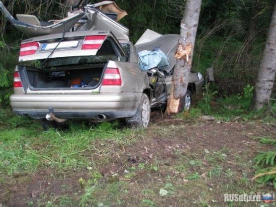 В Эстонии в результете наездаа на дерево погиб водитель