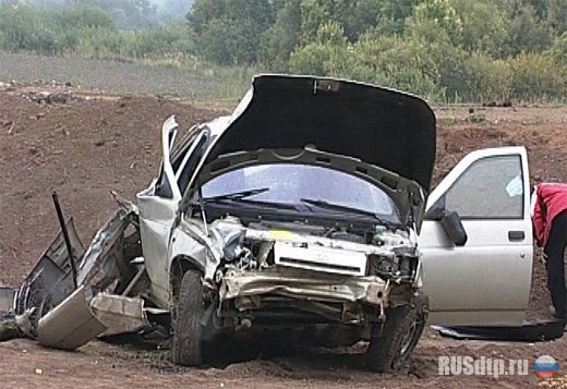 В Пермском крае в ДТП погибли 3 человека