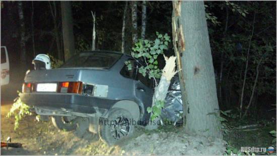 В Новосибирске водитель погиб при наезде на дерево