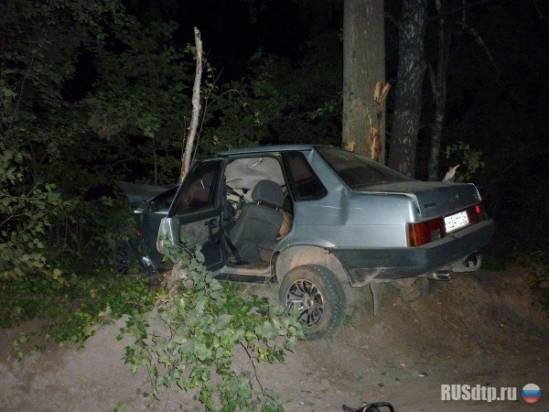 В Новосибирске водитель погиб при наезде на дерево