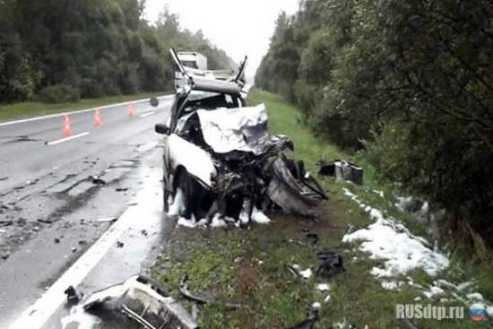 В автоаварии под Витебском погибли граждане трех стран