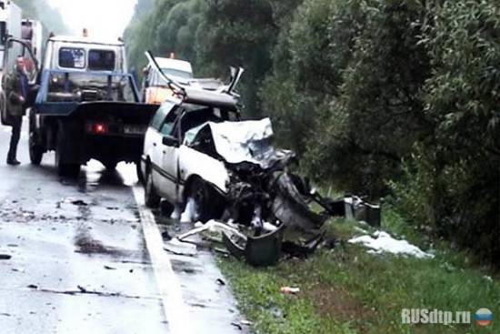 В автоаварии под Витебском погибли граждане трех стран