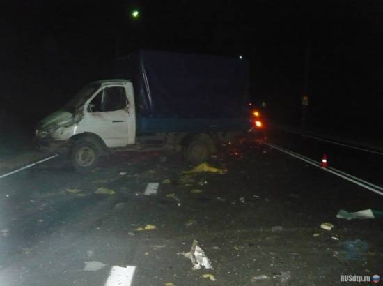 7 человек погибли в ДТП на трассе Вологда – Новая Ладога