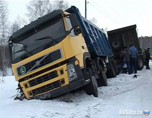 В ДТП с грузовиком погибли женщина и годовалый ребенок