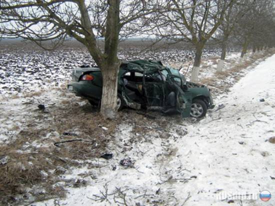 Hyundai Elantra на высокой скорости врезался в дерево