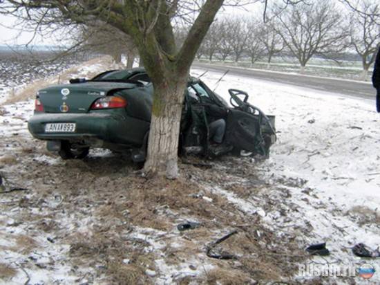 Hyundai Elantra на высокой скорости врезался в дерево