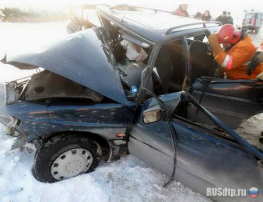 Семья ехала домой из роддома&#8230;