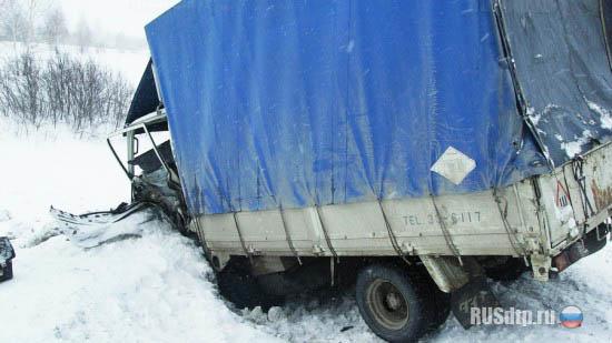 Под Новосибирском Королла столкнулась с грузовиком