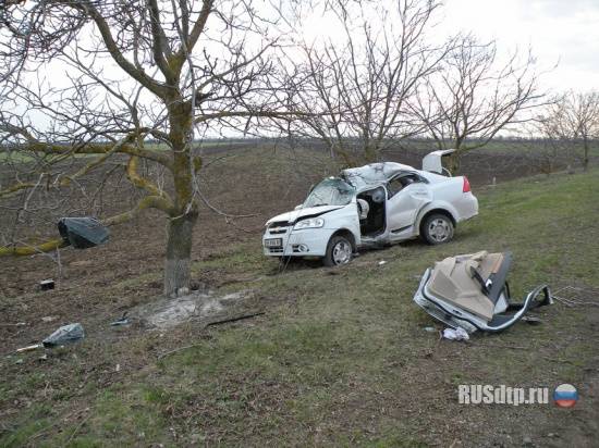 На Николаевщине водитель погиб, врезавшись в дерево