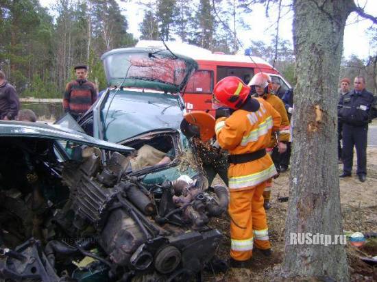 В Брестской области «Audi А4» врезался в дерево