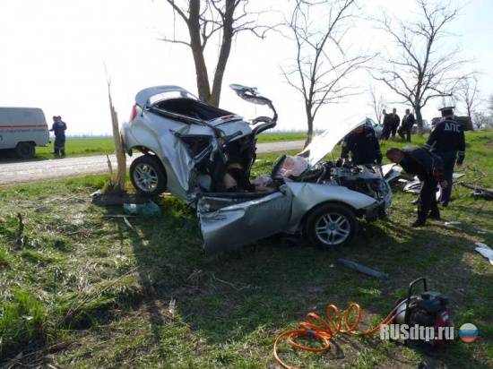 В столкновении Тойоты с деревом погибла пассажирка