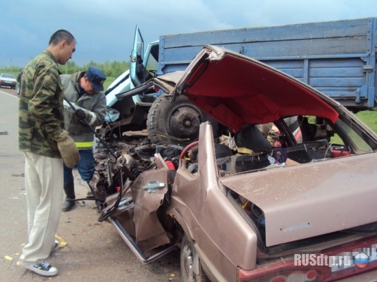 Водитель ВАЗ-21099 погиб под встречным грузовиком