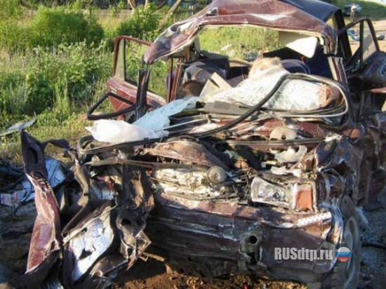 Под Рязанью в крупной аварии погибли 5 человек
