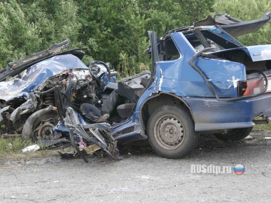 В Омской области в ДТП погибли три человека